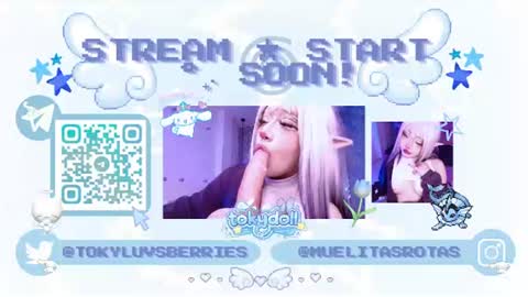 toky         online show from 6, 7, 2026