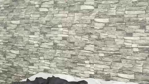 Tokyo online show from 5, 1, 2026