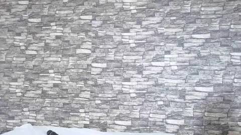 Tokyo online show from 2, 2, 2026