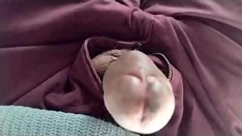 Snapshot of tomas_cum69 chatting on 11, 1, 2025 Tomas online show from 11, 1, 2025