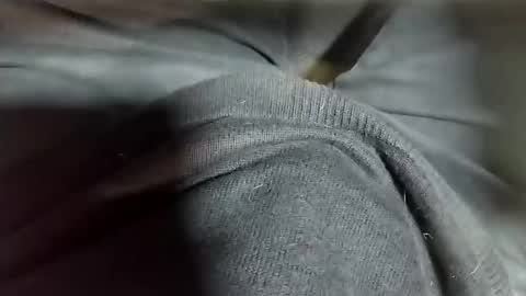 Snapshot of tomas_cum69 chatting on 12, 2, 2025 Tomas online show from 12, 2, 2025