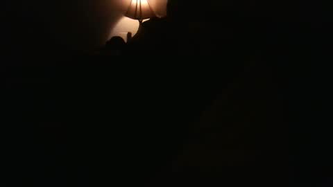 tommy44450243 online show from 26, 4, 2026