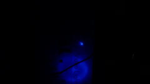   Thomas    online show from 21, 1, 2025