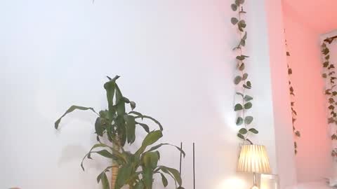 Snapshot of tommyfoxboy chatting on 5, 3, 2025 Tommy Foxboy online show from 5, 3, 2025