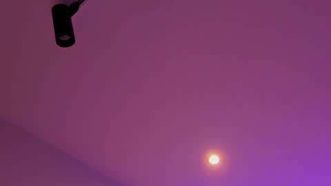 Snapshot of tony_petrov chatting on 8, 1, 2026 tony_petrov online show from 8, 1, 2026