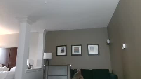 toomuchsmoke online show from 6, 2, 2025