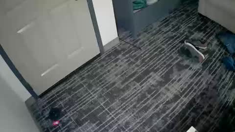 toomuchsmoke online show from 3, 10, 2025