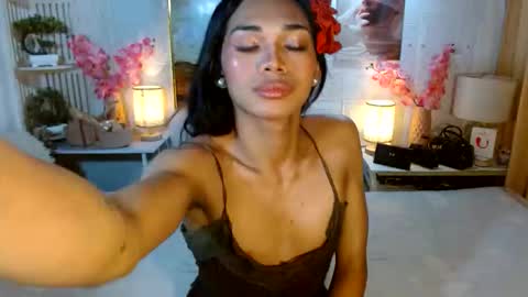 toptrans venice online show from 8, 6, 2026