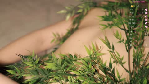 Snapshot of toshimori chatting on 12, 1, 2025 Toshi online show from 12, 1, 2025