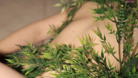 Snapshot of toshimori chatting on 3, 11, 2025 Toshi online show from 3, 11, 2025