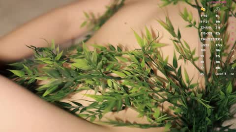 Snapshot of toshimori chatting on 1, 12, 2025 Toshi online show from 1, 12, 2025