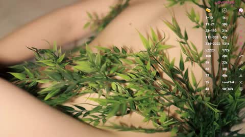 Toshi online show from 23, 3, 2026