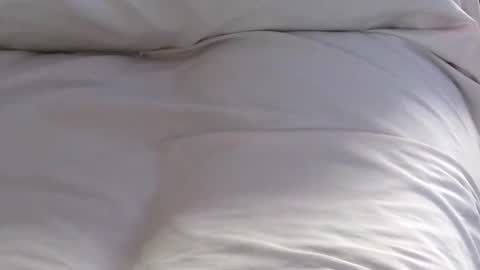 Jim online show from 31, 1, 2025