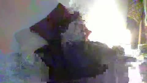 Snapshot of toyboyhumilation chatting on 7, 11, 2025 toyboyhumilation online show from 7, 11, 2025