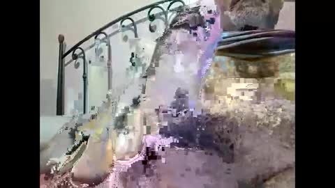 Snapshot of tra649167 chatting on 23, 12, 2024 tra649167 online show from 23, 12, 2024