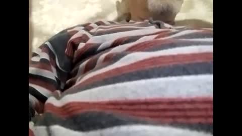 Snapshot of tra649167 chatting on 9, 2, 2025 tra649167 online show from 9, 2, 2025