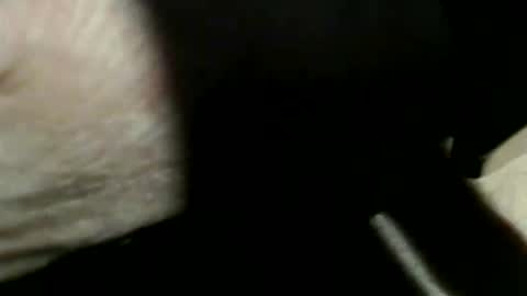 trailblazer1969 online show from 7, 3, 2026