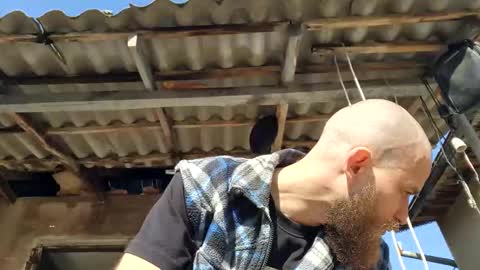 Tralalabala online show from 3, 3, 2026