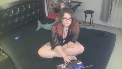tranicpixiedreamgrl online show from 25, 11, 2025