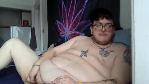 transmalebear online show from 11, 2, 2025