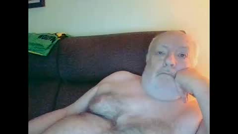 trasto177341 online show from 2, 3, 2025