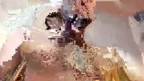 trex23rd online show from 2, 12, 2025