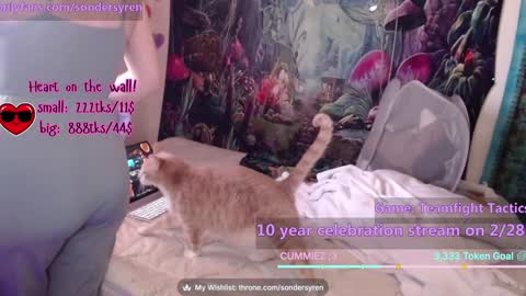 Cassie online show from 26, 2, 2026