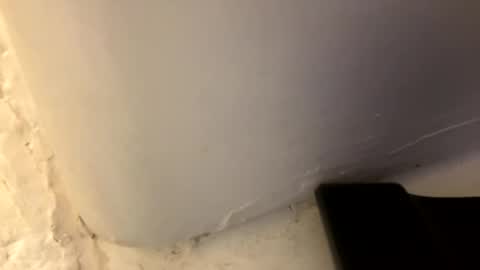 trickydick6 online show from 26, 4, 2026