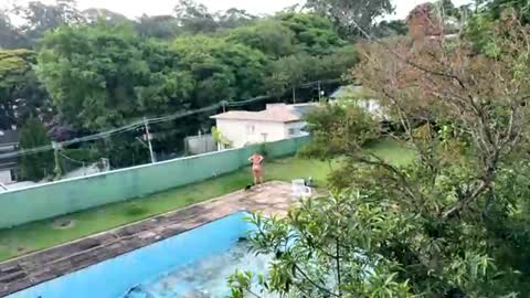 trigood online show from 28, 11, 2025