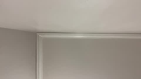 WapBopper online show from 24, 12, 2024