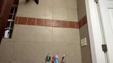 WapBopper online show from 11, 2, 2025