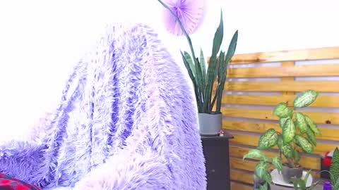 Trix online show from 1, 2, 2026