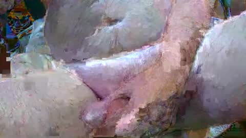 troy1965 online show from 6, 1, 2025