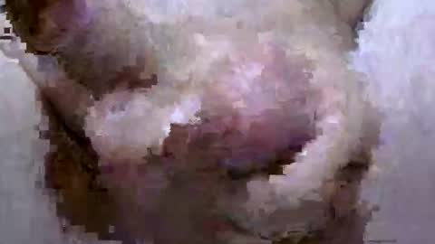 troy1965 online show from 28, 4, 2026