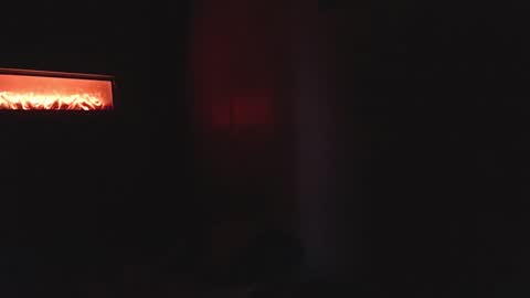 ts_audreylove online show from 3, 1, 2025