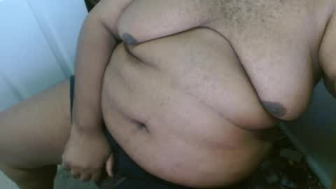 Dark Bear online show from 3, 10, 2025