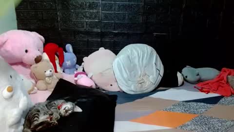 SHENA  online show from 18, 4, 2026