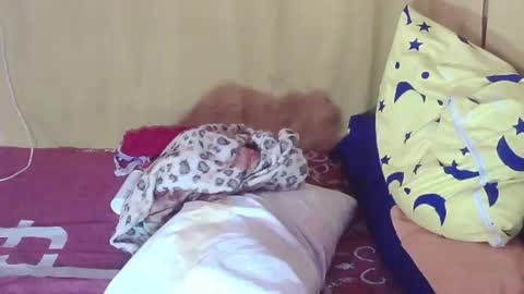 Snapshot of tswinterlily69 chatting on 11, 10, 2025 carmella online show from 11, 10, 2025