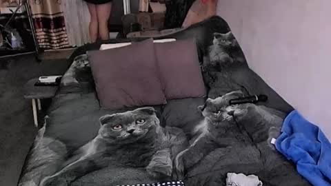 Lana online show from 9, 10, 2025