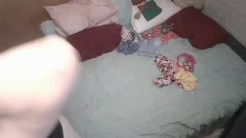 Twinkie 333 online show from 11, 3, 2026