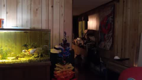 twocumkerry online show from 13, 2, 2025