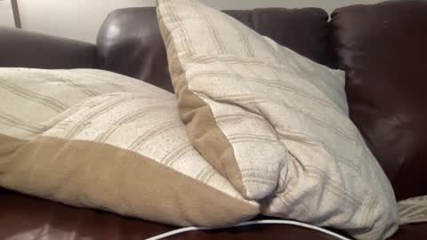 ty223222 online show from 6, 3, 2025