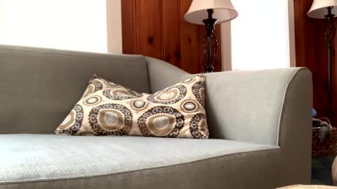 Snapshot of tylersands chatting on 11, 2, 2025 Tyler Sands online show from 11, 2, 2025