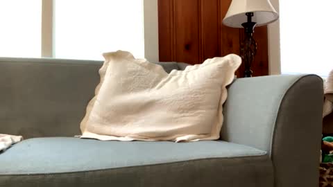 Snapshot of tylersands chatting on 2, 3, 2025 Tyler Sands online show from 2, 3, 2025