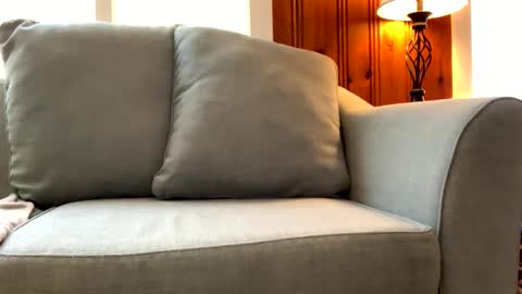 Snapshot of tylersands chatting on 7, 3, 2025 Tyler Sands online show from 7, 3, 2025