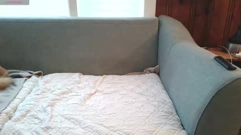 Snapshot of tylersands chatting on 16, 12, 2025 Tyler Sands online show from 16, 12, 2025