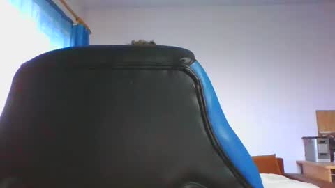 Snapshot of ulmeni4 chatting on 4, 12, 2025 ulmeni4 online show from 4, 12, 2025