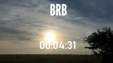 ulmo_br online show from 15, 12, 2024