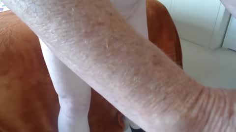 Uncle online show from 21, 4, 2026