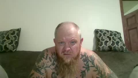 up_bear10 online show from 16, 6, 2026